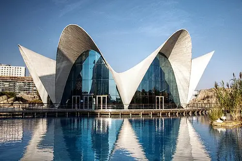 Oceanogràfic — Felipe Gabaldón from Spain (CC BY 2.0) Oceanogràfic