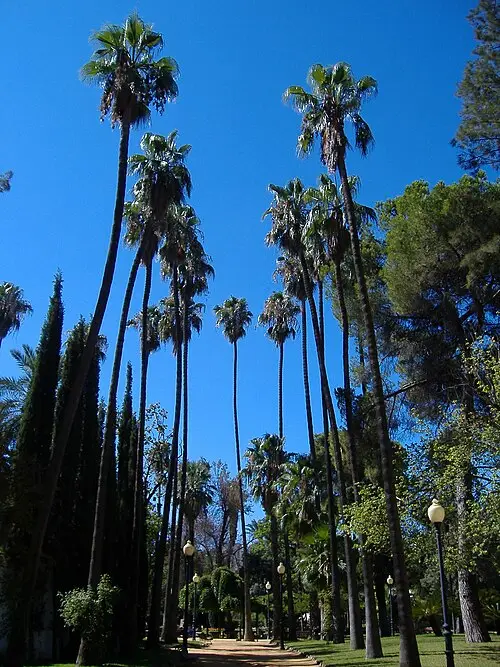 Parc de Castelar — No machine-readable author provided. Gianni86~commonswiki assumed (based on copyright claims). (Public domain) Parc de Castelar