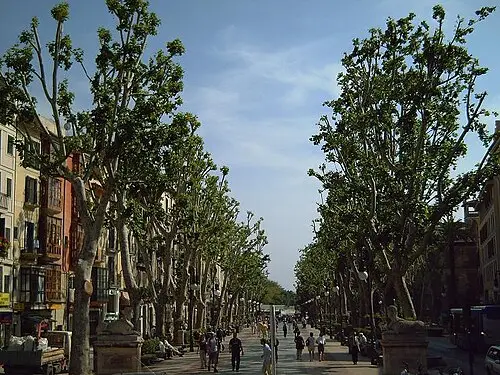 Paseo del Borne — No machine-readable author provided. Cventayol assumed (based on copyright claims). (Public domain) Paseo del Borne