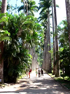 Jardín Botánico — Wikimedia Commons (CC BY-SA 3.0) Jardín Botánico