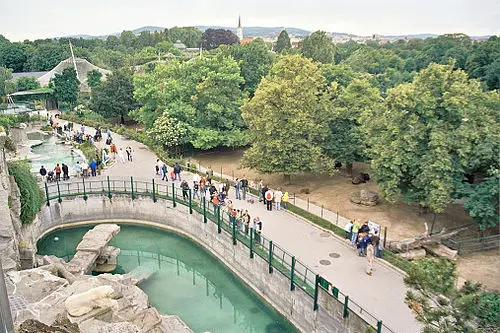 Zoo de Schönbrunn — Manfred Werner - User:Tsui (CC BY-SA 3.0) Zoo de Schönbrunn