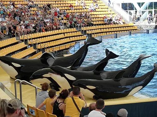 Loro Parque — myself (User:Piotrus) (CC BY-SA 3.0) Loro Parque