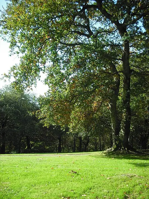 Parque de Bonaval