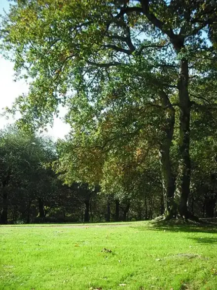 Parco di Bonaval — Qoan (Enrique Íñiguez Rodríguez) (CC BY-SA 3.0) Parco di Bonaval