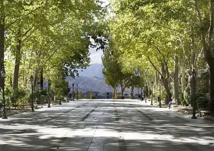 Alameda del Tajo — Britanglishman (CC BY-SA 2.0) Alameda del Tajo