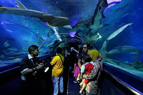 Acuario Aquaria KLCC