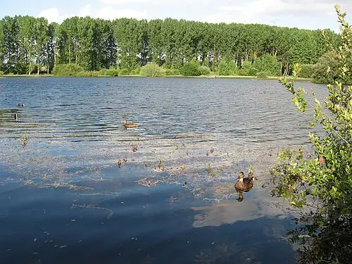 Salburua Wetlands and Ataria Center — No machine-readable author provided. Yrithinnd assumed (based on copyright claims). (CC BY-SA 3.0) Salburua Wetlands and Ataria Center