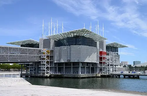 Lisbon Oceanarium — Alvesgaspar (CC BY-SA 3.0) Lisbon Oceanarium